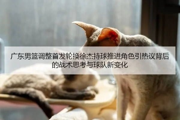 广东男篮调整首发轮换徐杰持球推进角色引热议背后的战术思考与球队新变化