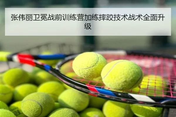 张伟丽卫冕战前训练营加练摔跤技术战术全面升级